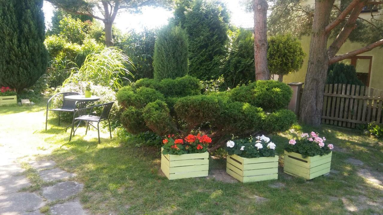 Cichy Zakatek Appartement Sianozety Buitenkant foto